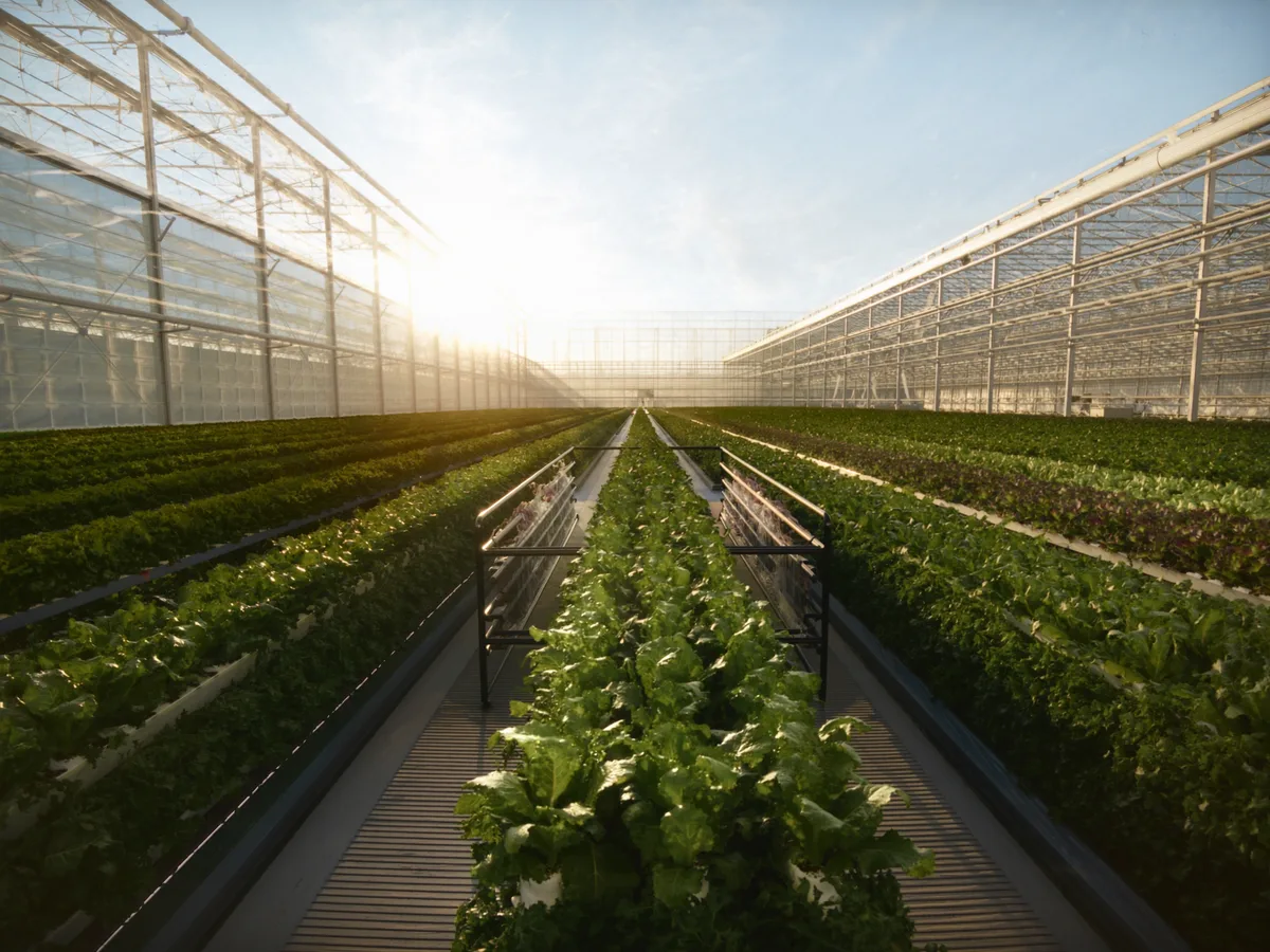 Agricultural inputs